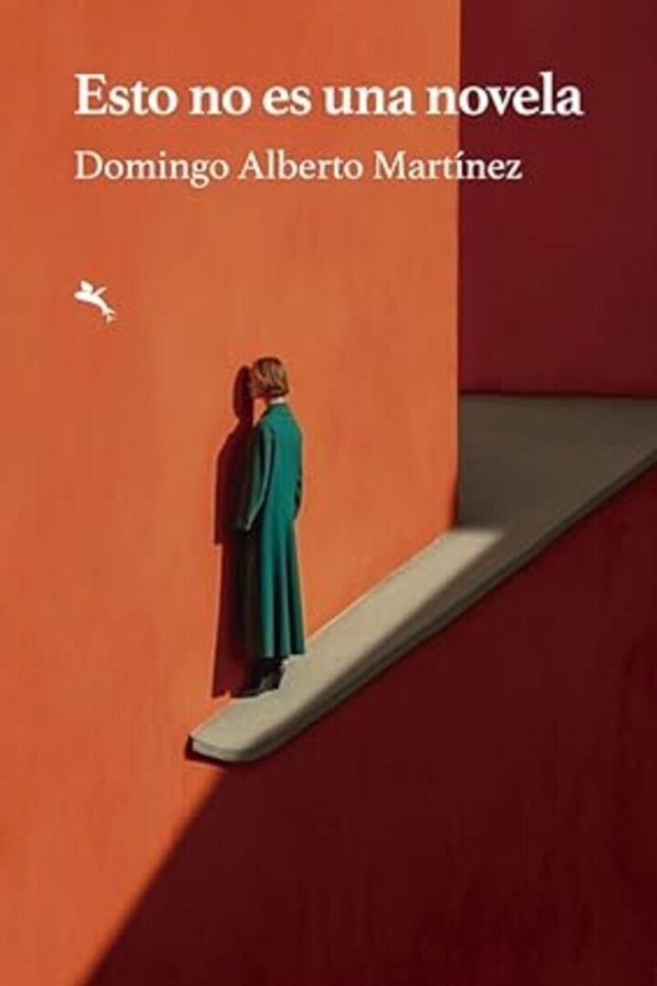 Domingo  Alberto  “Esto  no  es  una  novela”  (Liburuaren  aurkezpena  /  Presentación  del  libro)